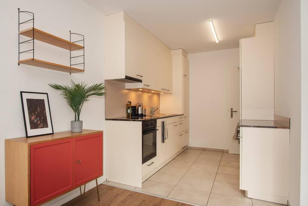 Spacious Apartment Next To Rhine Basilea Esterno foto