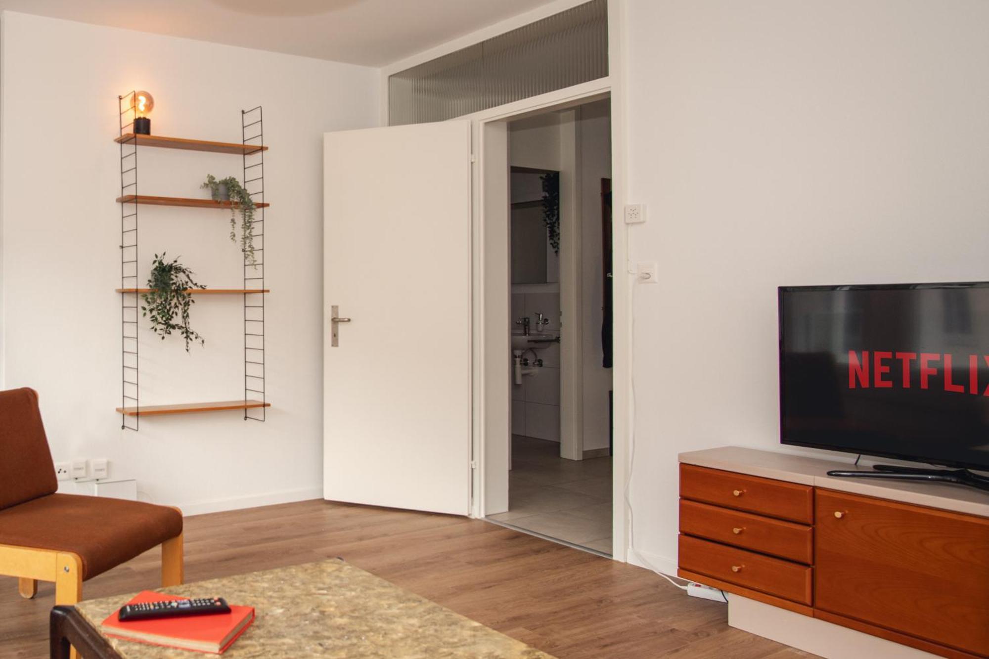 Spacious Apartment Next To Rhine Basilea Esterno foto